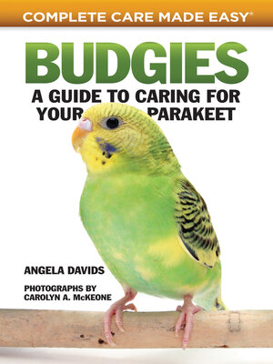 cover image of Budgies